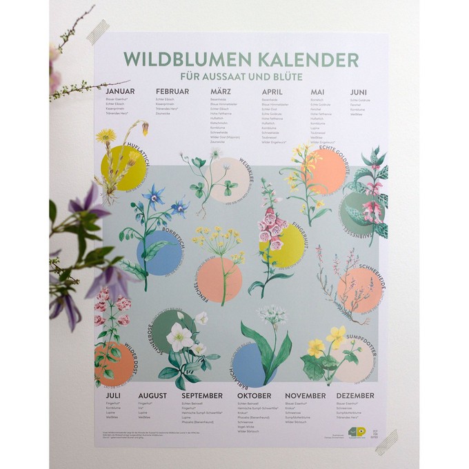 Saisonkalender für Blumen - Aussaat und Blüte regionaler Blumen - Zeitlos from 4peoplewhocare