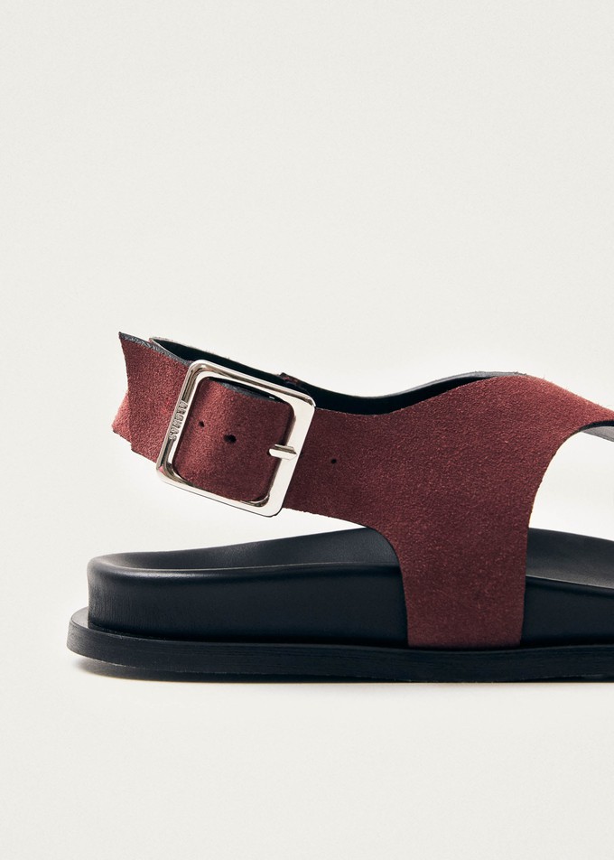 Harbor Suede Burgundy Leather Sandals from Alohas