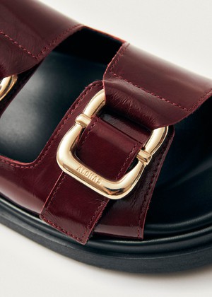 Harper Onix Burgundy Leather Sandals from Alohas