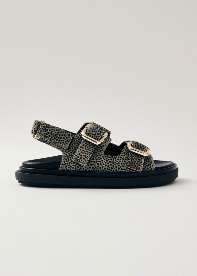 Harper Soft Grey Leather Sandals from Alohas