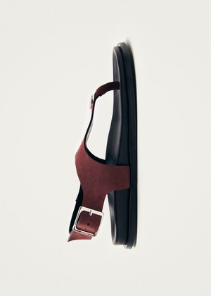 Harbor Suede Burgundy Leather Sandals from Alohas