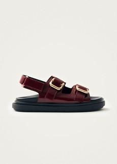 Harper Onix Burgundy Leather Sandals via Alohas