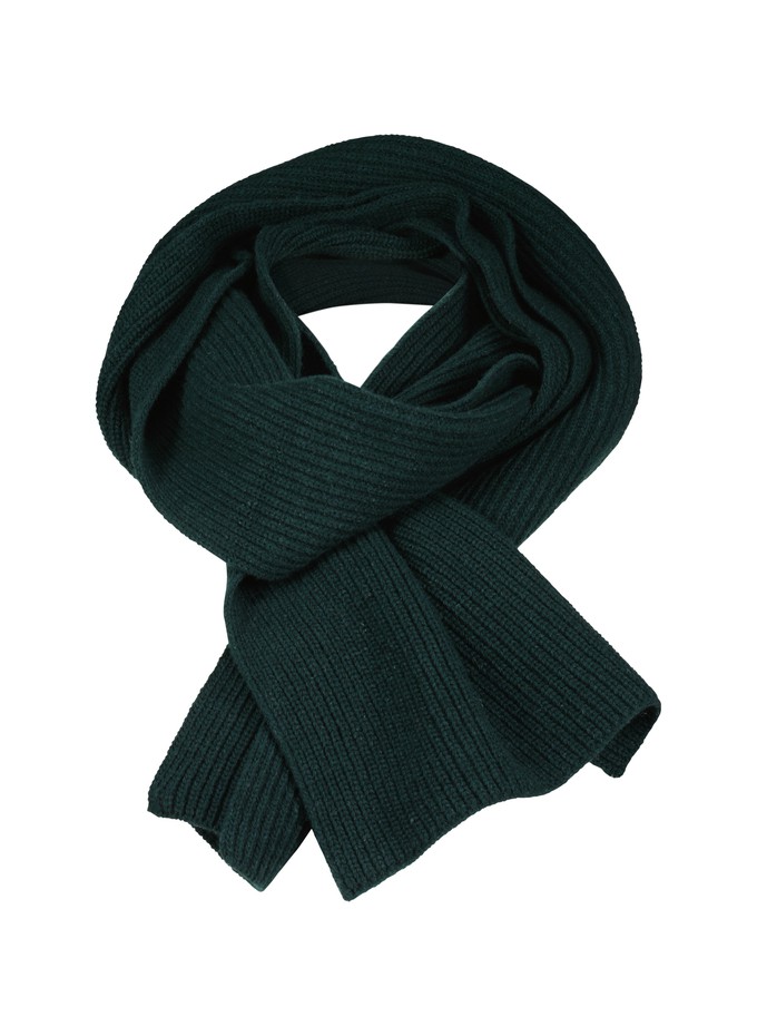 Alina Recycled Wool Scarf from Baukjen