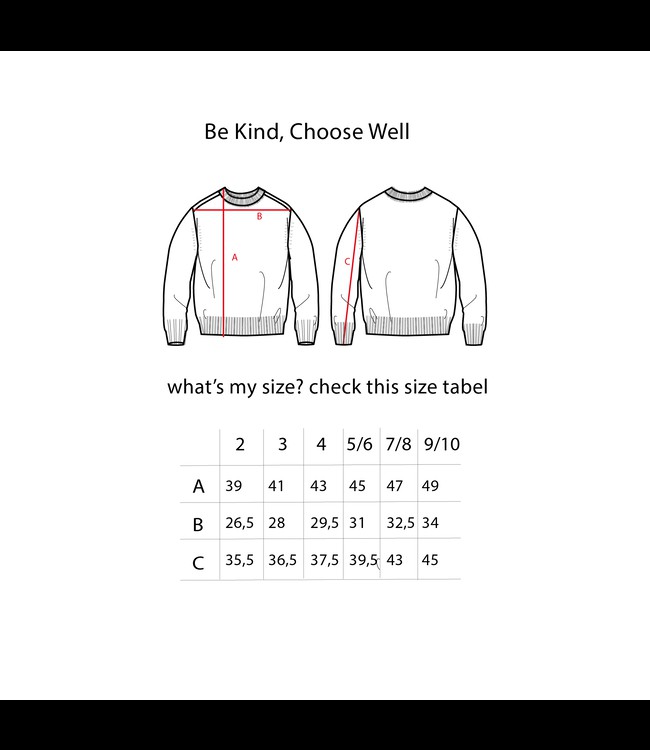 Be Kind Skylar Sweater from Be Kind