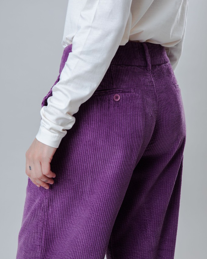 Cordhose mit Falten Orchid from Brava Fabrics