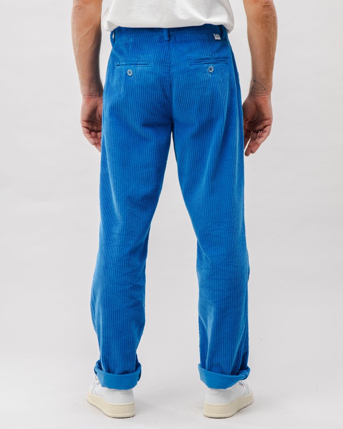 Corduroy Plissierte Chino Hosen Blau from Brava Fabrics