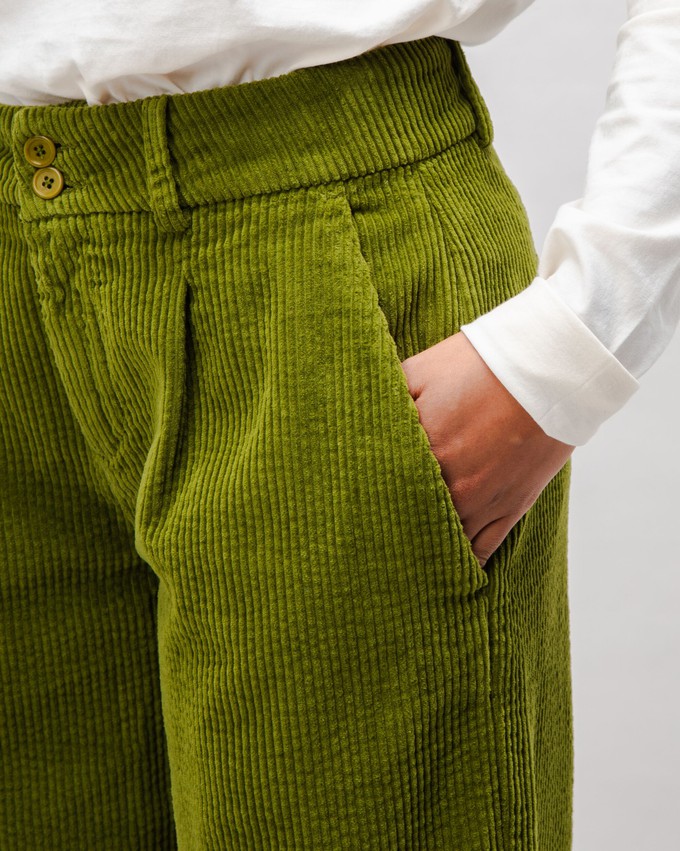 Cordhose mit Falten Grün from Brava Fabrics