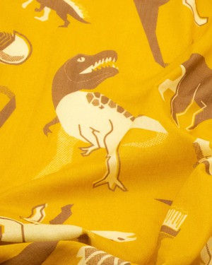 Scarf retro paleontology from Fairy Positron