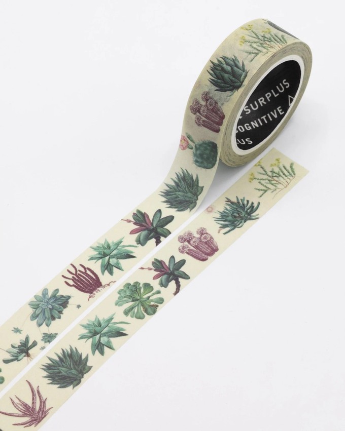 Washi-tape vetplanten from Fairy Positron