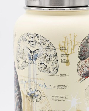 Drinkfles "Brain & Neuroscience" (950ml) from Fairy Positron