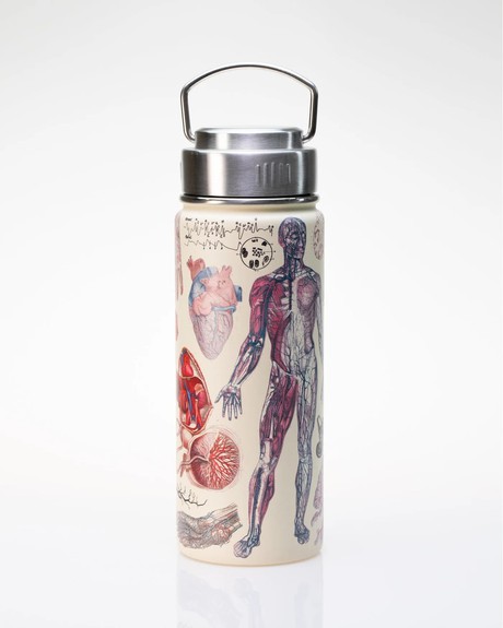 Drinking Bottle Vascular Anatomy (500ml) from Fairy Positron