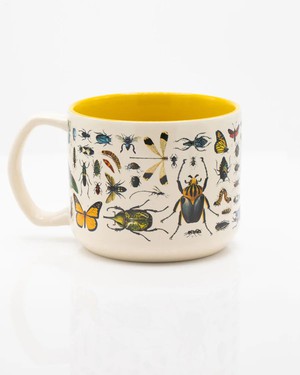 Mug Insects from Fairy Positron