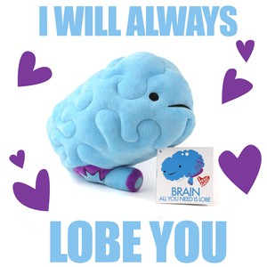 plushie brain - All you need is lobe from Fairy Positron