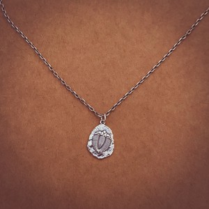 Silver necklace trilobite from Fairy Positron