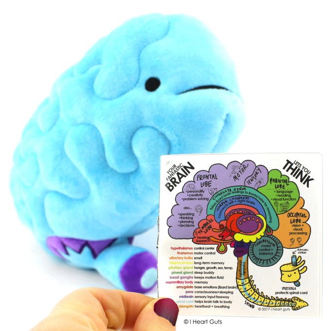 plushie brain - All you need is lobe from Fairy Positron