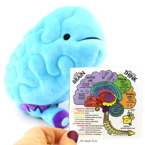 plushie brain - All you need is lobe from Fairy Positron