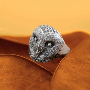 Silver ring barn owl from Fairy Positron