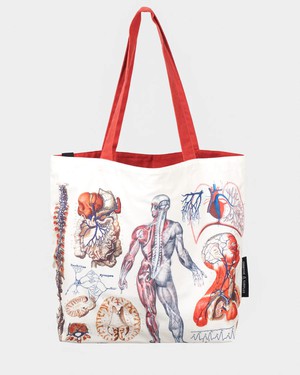 Shoulder bag anatomy from Fairy Positron