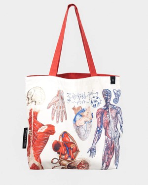 Shoulder bag anatomy from Fairy Positron