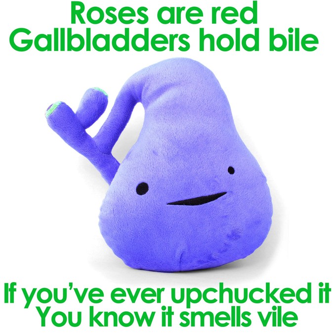 plushie gallbladder - You've got gall from Fairy Positron