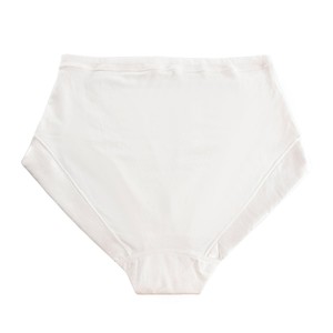 Snowdrop - Silk & Organic Cotton Full Brief in White from JulieMay Lingerie