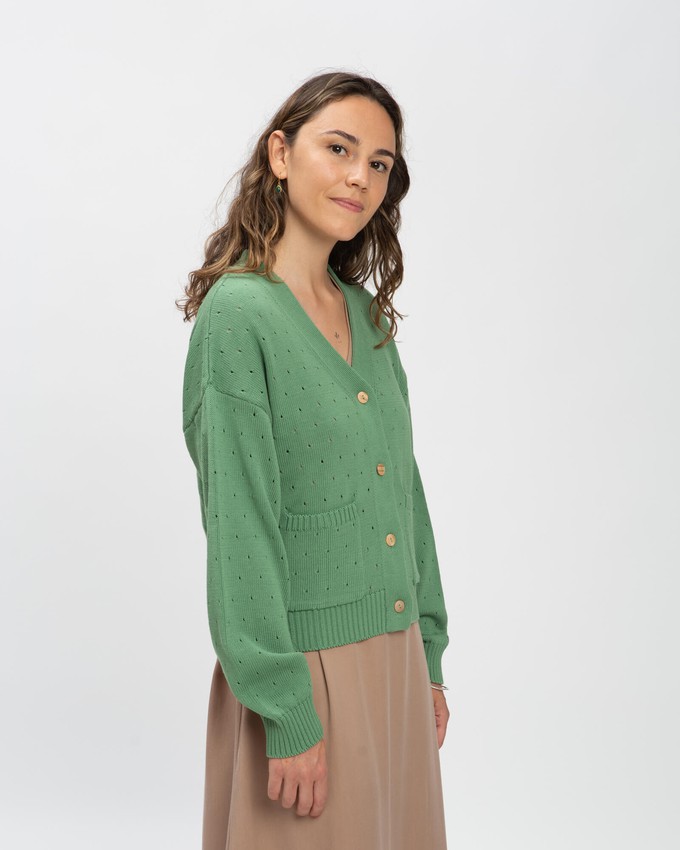 Spring Cardigan bean from Matona