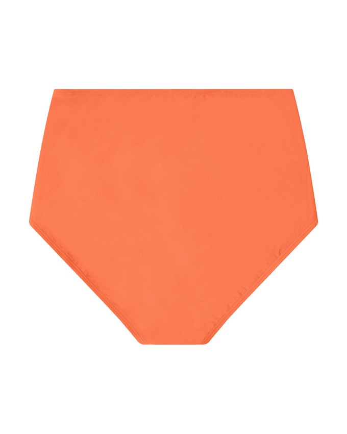 Bikini Bottom coral from Matona