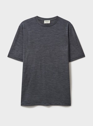 ZQ Merino Wool Jersey Charcoal Stripe T-Shirt from Neem London