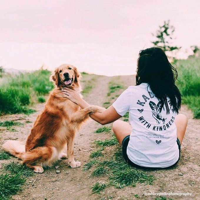 Kale 'Em With Kindness - White T-Shirt from Plant Faced Clothing