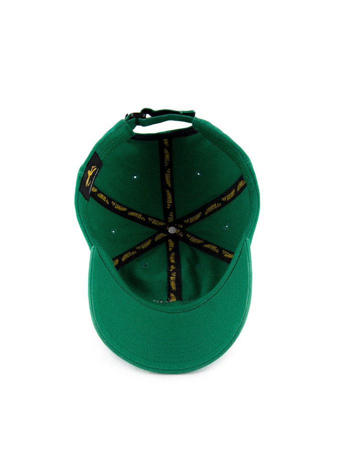 Kelly Green Dad Hat from Rip Bananas