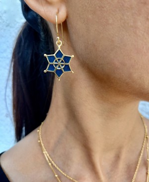 Meena Star Earrings from Rize