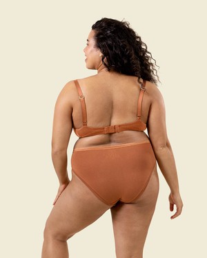 Organic Cotton Mid-Rise Bikini in Spice 3-Pack from Subset