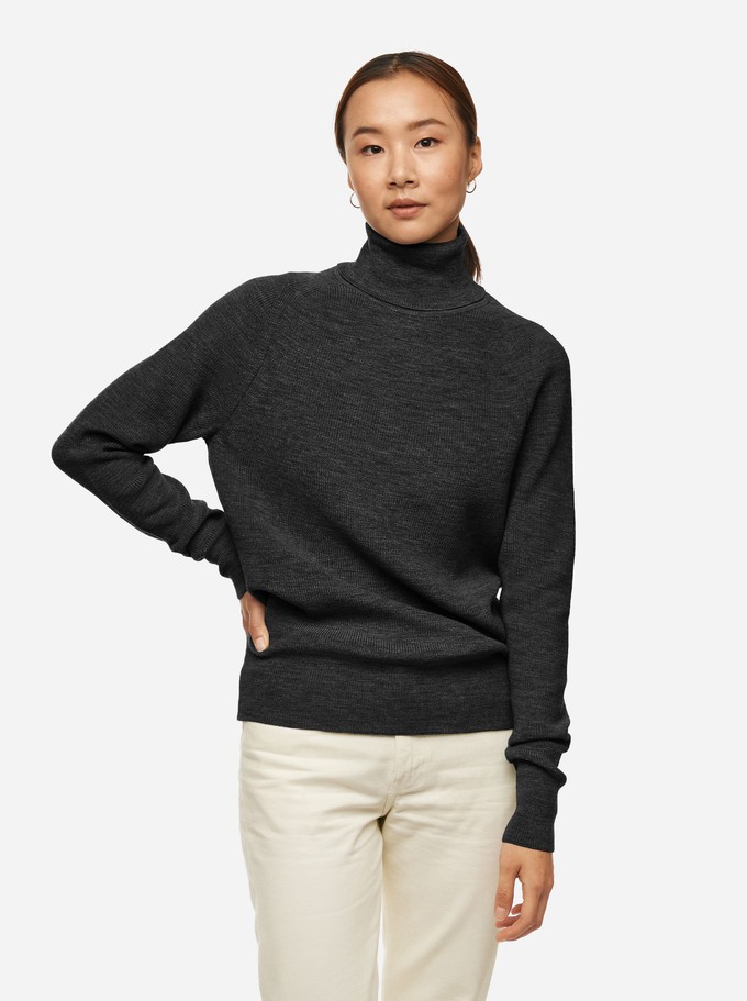 The Turtleneck Sweater from TEYM