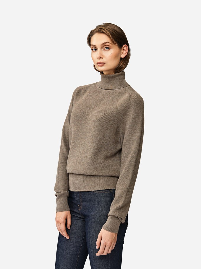 The Turtleneck Sweater from TEYM