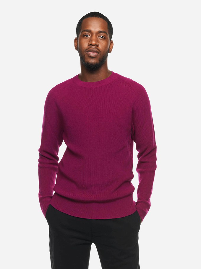 The Crewneck Sweater from TEYM