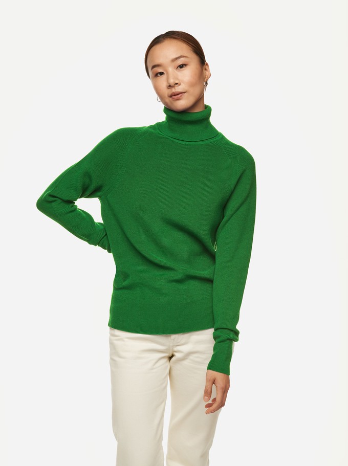 The Turtleneck Sweater from TEYM