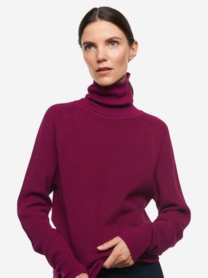 The Turtleneck Sweater from TEYM