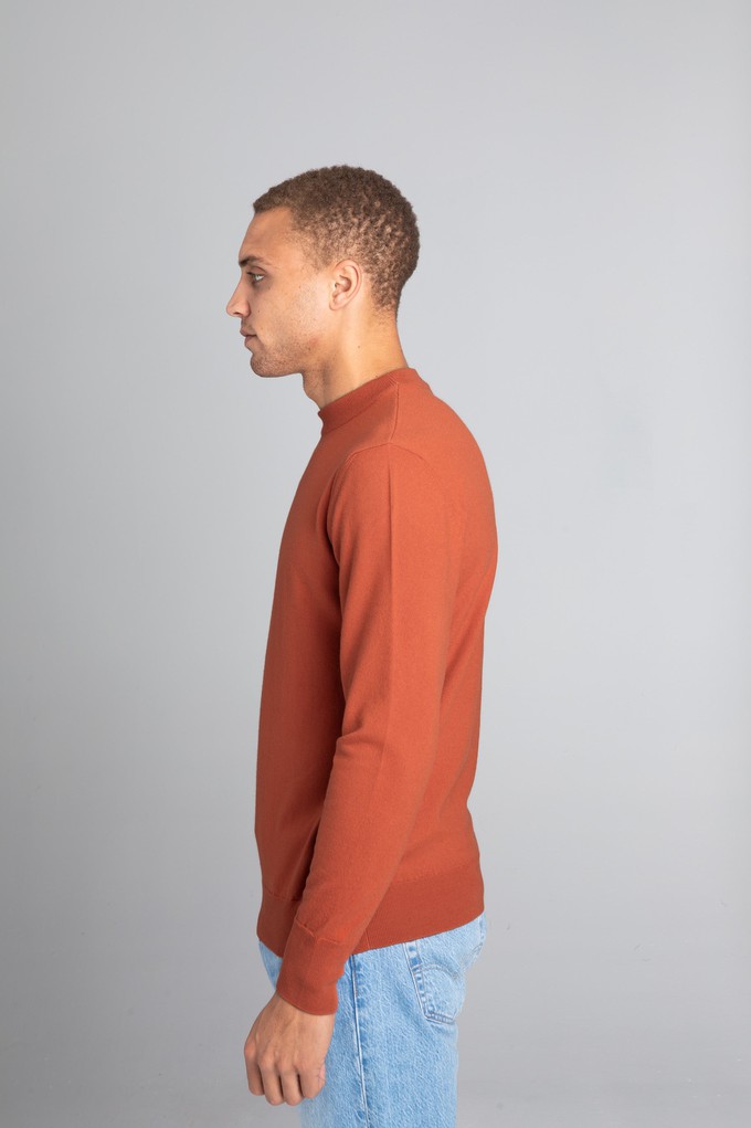 Merino Sweater Light from UNBORN