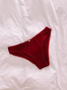 Bamboo Bikini Brief - Red via Urbankissed