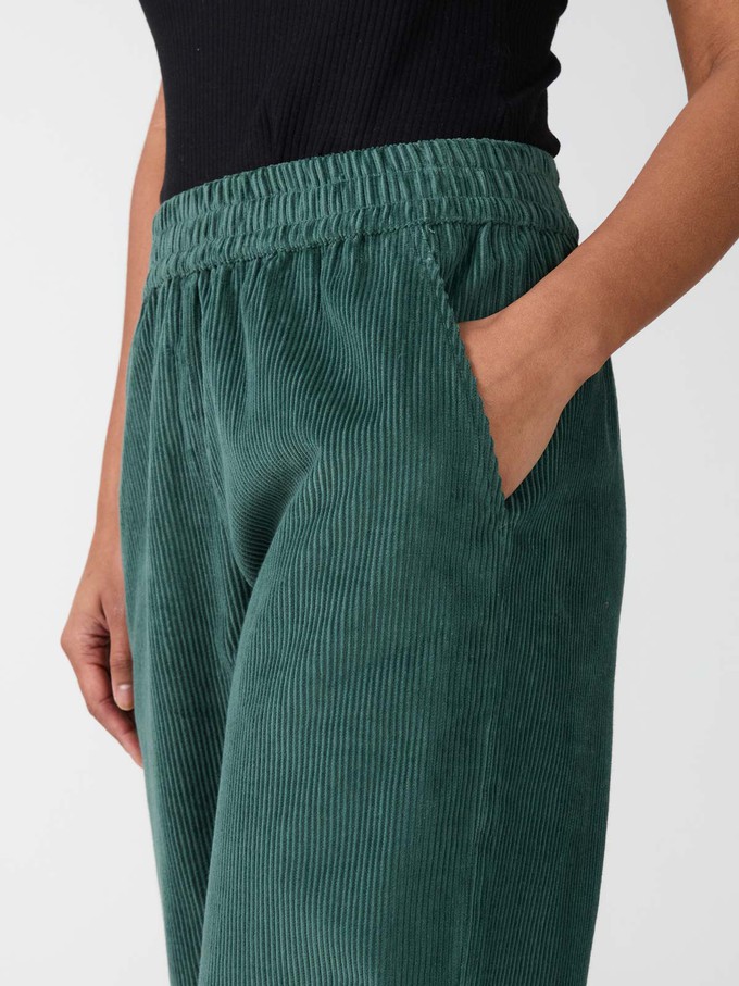 teal Marta Hose from Yahmo