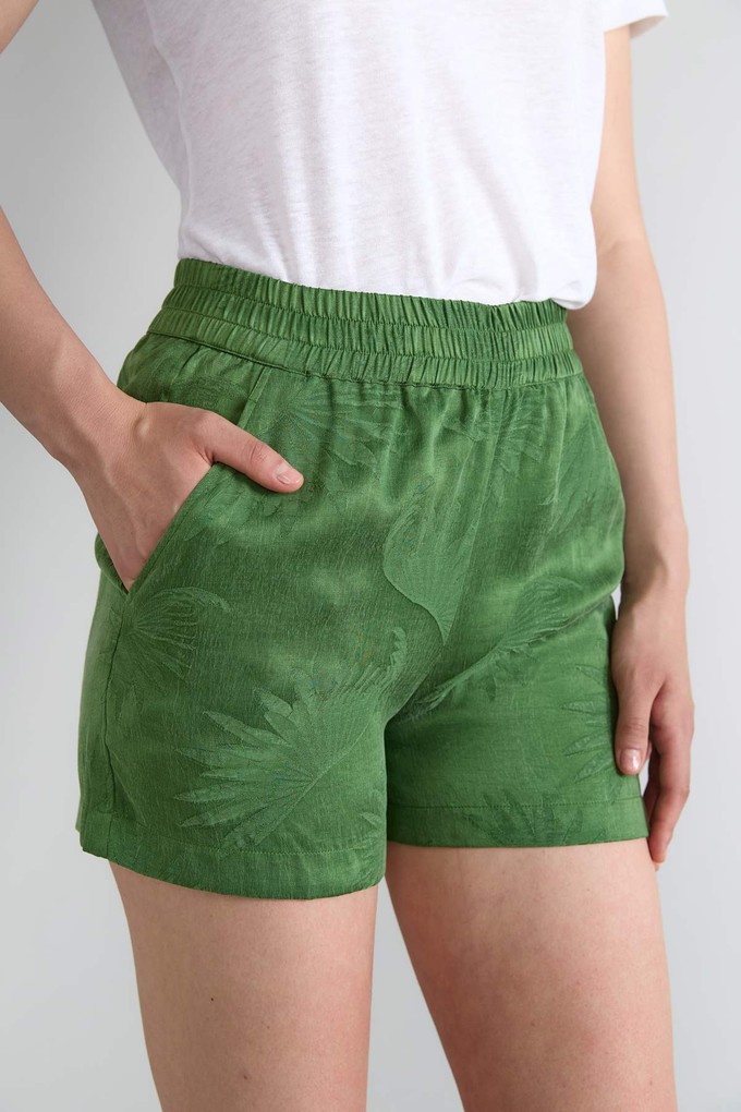 matcha Leichte Reiseshorts from Yahmo