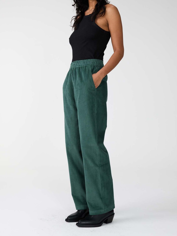 teal Marta Hose from Yahmo